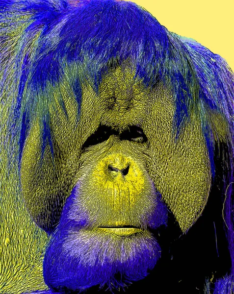 Orangutanes Signo Ilustración Pop Art Icono Fondo Con Manchas Colores — Foto de Stock