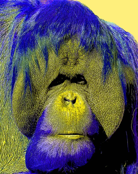 Orangutanlar canlı renk beneklerine sahip pop-art arkaplan simgesini imzaladılar