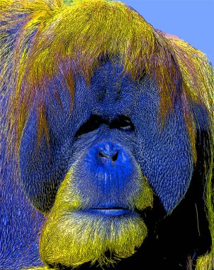 Orangutanlar canlı renk beneklerine sahip pop-art arkaplan simgesini imzaladılar
