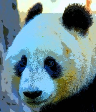 Dev panda sembolü canlı renk benekleri olan pop-art arkaplan simgesi