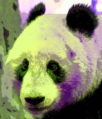 Dev panda sembolü canlı renk benekleri olan pop-art arkaplan simgesi
