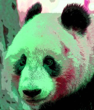 Dev panda sembolü canlı renk benekleri olan pop-art arkaplan simgesi