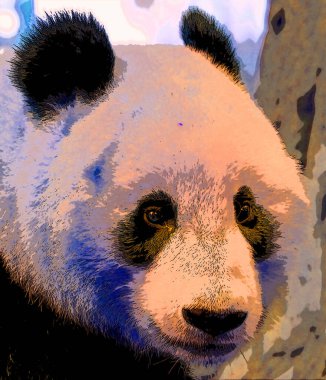 Dev panda sembolü canlı renk benekleri olan pop-art arkaplan simgesi