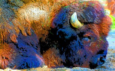 Bizon işareti renk lekeli pop-art arkaplan simgesi