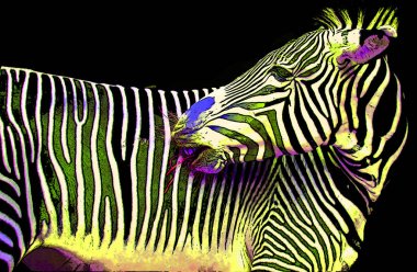 Zebra işareti renk lekeli pop-art arkaplan simgesi 