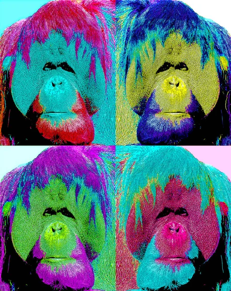 Orangutanlar Canlı Renk Beneklerine Sahip Pop Art Arkaplan Simgesini Imzaladılar — Stok fotoğraf