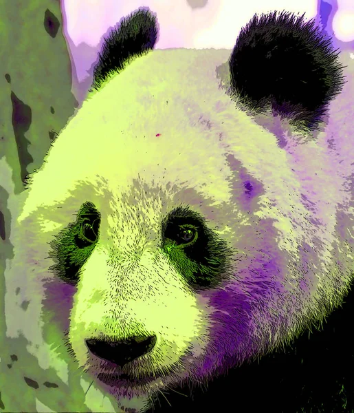 Dev Panda Sembolü Canlı Renk Benekleri Olan Pop Art Arkaplan — Stok fotoğraf