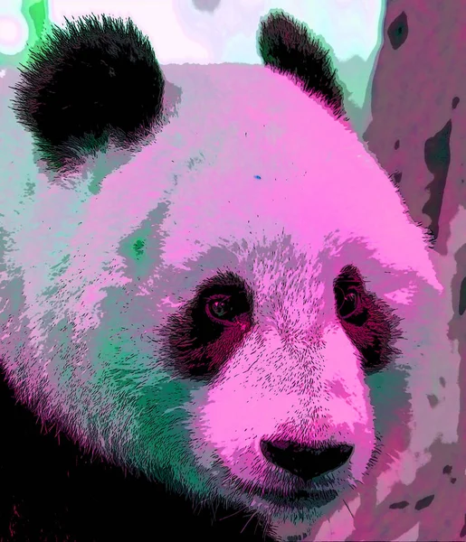 Óriás Panda Jel Illusztráció Pop Art Háttér Ikon Élénk Színes — Stock Fotó