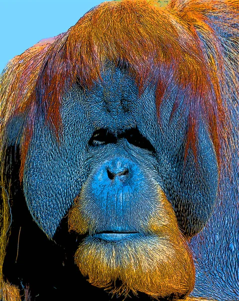 Orangutanes Signo Ilustración Pop Art Icono Fondo Con Manchas Colores — Foto de Stock