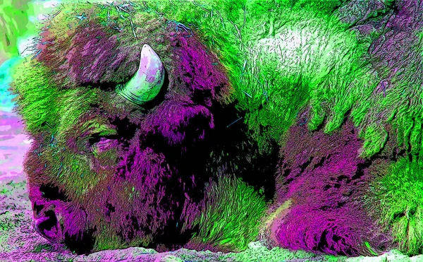 Bison Sinal Ilustração Pop Art Ícone Fundo Com Manchas Cor — Fotografia de Stock