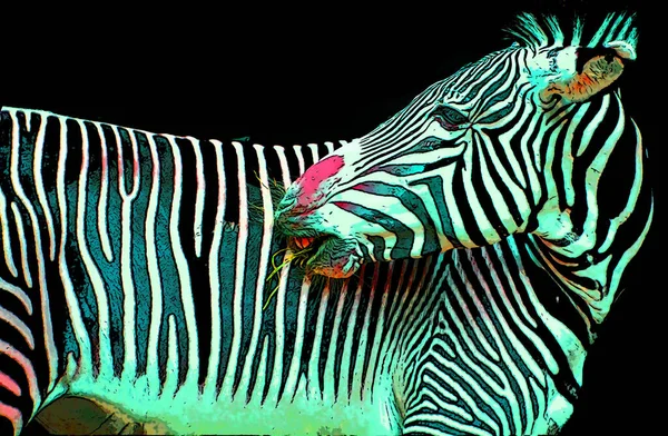 Zebra Zeichen Illustration Pop Art Hintergrund Symbol Mit Farbflecken — Stockfoto