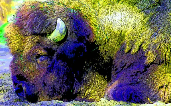 Иллюстрация Знака Бизона Иконка Поп Арта Цветовыми Пятнами — стоковое фото