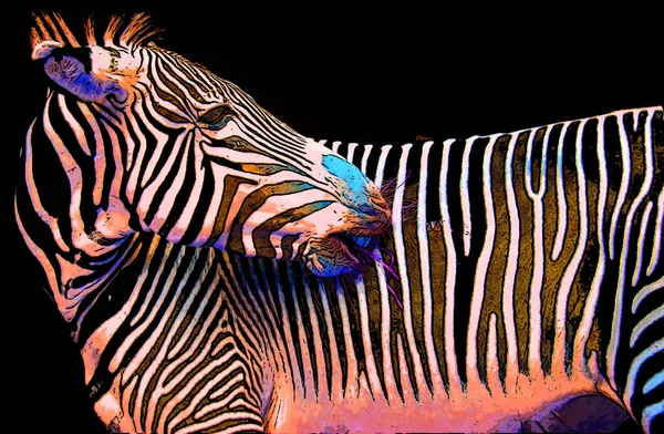 Zebra Zeichen Illustration Pop Art Hintergrund Symbol Mit Farbflecken — Stockfoto