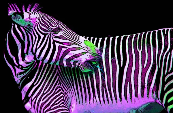 Zebra Zeichen Illustration Pop Art Hintergrund Symbol Mit Farbflecken — Stockfoto