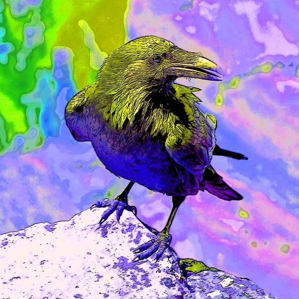 American Crow Corvus Brachyrhynchos Sign Illustration Pop Art Background Icon — Foto Stock