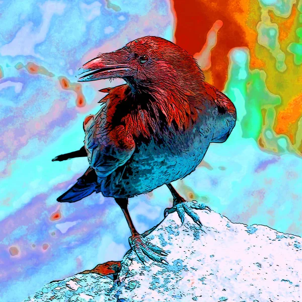 Cuervo Americano Corvus Brachyrhynchos Signo Ilustración Pop Art Icono Fondo — Foto de Stock