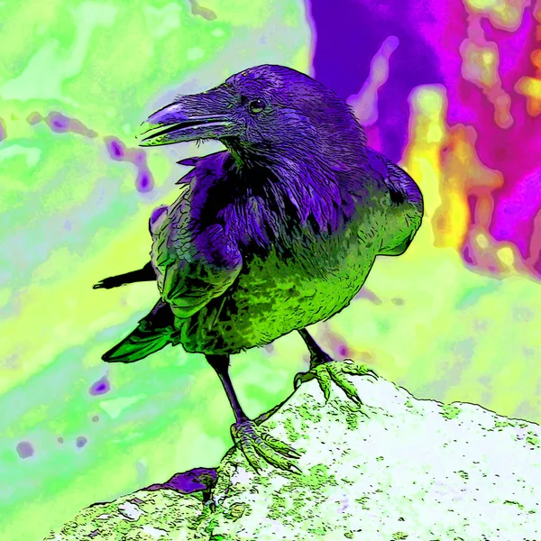 American Crow Corvus Brachyrhynchos Sign Illustration Pop Art Background Icon — Foto Stock