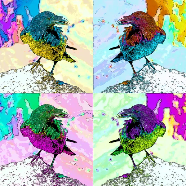 American Crow Corvus Brachyrhynchos Sign Illustration Pop Art Background Icon — стокове фото