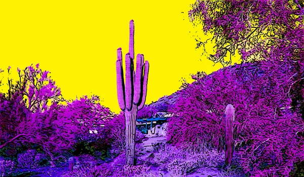 Saguaro Castus Στην Αριζόνα Ηπα Σημάδι Εικονογράφηση Pop Art Εικονίδιο — Φωτογραφία Αρχείου