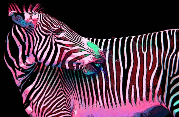 Zebra Sinal Ilustração Pop Art Ícone Fundo Com Manchas Cor — Fotografia de Stock
