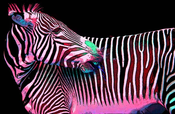 Zebra Zeichen Illustration Pop Art Hintergrund Symbol Mit Farbflecken — Stockfoto