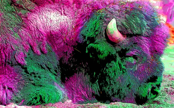 Bison Sinal Ilustração Pop Art Ícone Fundo Com Manchas Cor — Fotografia de Stock