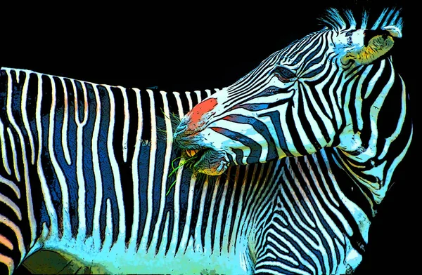 Zebra Jel Illusztráció Pop Art Háttér Ikon Színes Foltok — Stock Fotó