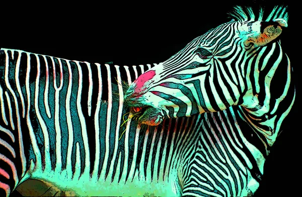 Zebra Znak Ilustracja Pop Art Tło Ikona Kolorowe Plamy — Zdjęcie stockowe