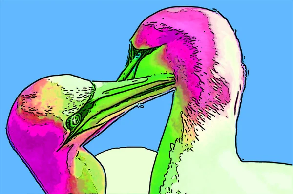 Severní Gannets Znamení Ilustrace Pop Art Pozadí Ikona Tmavou Barvou — Stock fotografie