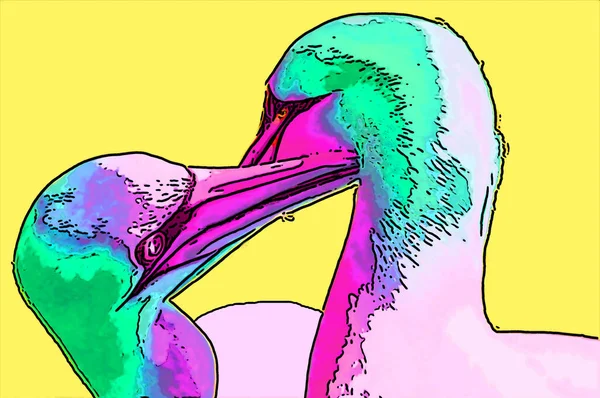 Northern Gannets Teken Illustratie Pop Art Achtergrond Pictogram Met Donkere — Stockfoto