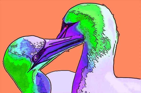 Northern Gannets Znak Ilustracja Pop Art Tło Ikona Ciemnym Kolorem — Zdjęcie stockowe