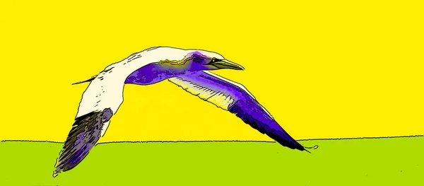 Northern Gannet Zeichen Illustration Pop Art Hintergrund Symbol Mit Dunkler — Stockfoto