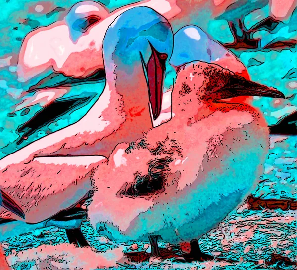 Northern Gannets Sign Illustration Pop Art Background Icon Dark Color — Stock Photo, Image