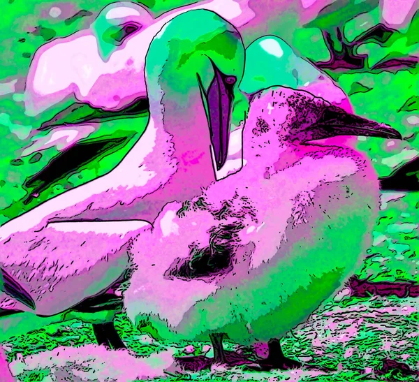 Northern Gannets Sign Illustration Pop Art Background Icon Dark Color — Stock Photo, Image