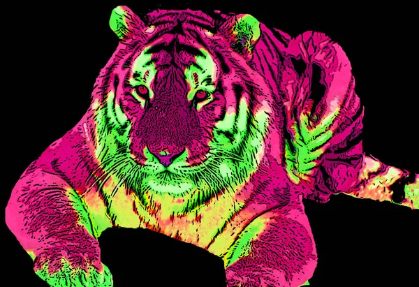 Tigre Signo Ilustración Pop Art Icono Fondo Con Líneas Color — Foto de Stock