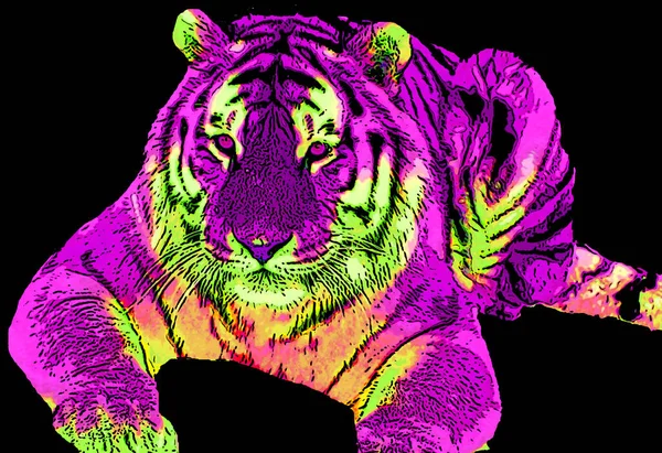 Ilustracja Znaku Tygrysa Pop Art Tło Ikona Linii Kolorów — Zdjęcie stockowe