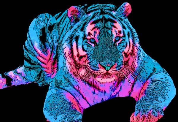 Иллюстрация Знака Тигра Иконка Поп Арта Цветовыми Линиями — стоковое фото