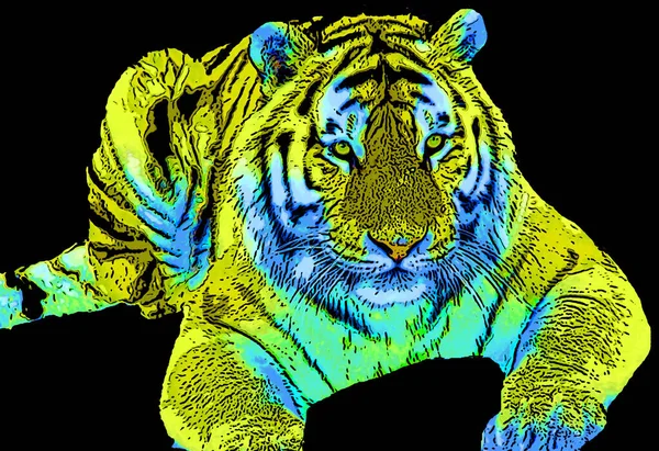 Tiger Zeichen Illustration Pop Art Hintergrund Symbol Mit Farblinien — Stockfoto