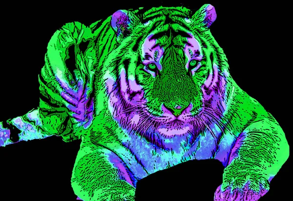 Tiger Signe Illustration Pop Art Icône Fond Avec Des Lignes — Photo