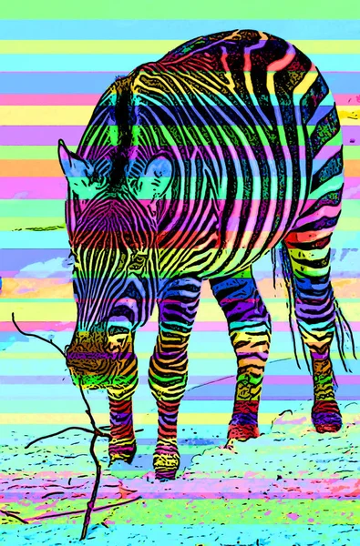 Zebra Kış Işareti Illüstrasyon Renk Lekeli Pop Art Arkaplan Simgesi — Stok fotoğraf