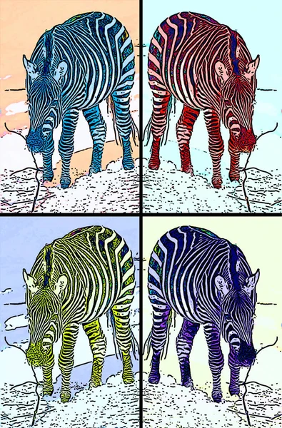 斑马在冬季标志插图流行艺术背景图标与彩色斑点 — 图库照片