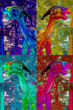 Parasaurolophus Saurolophus, otobur hadrosaurid ornithopod dinozor cinsinden, renkli benekli pop-art arkaplan ikonu.