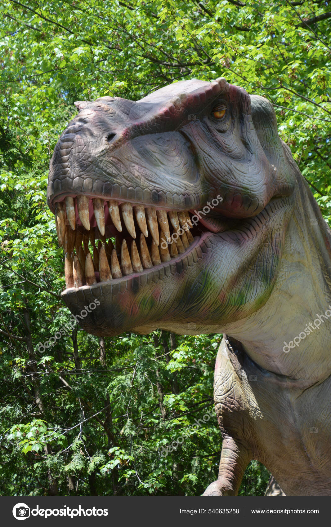 Tyrannosaurus Rex Meaning Tyrant Lizard King Latin One Most Well Stock Photo by ©meunierd 540635258