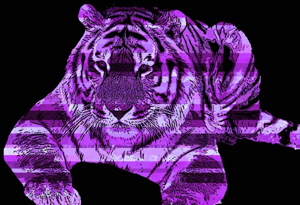 Tigre Signo Ilustración Pop Art Icono Fondo Con Manchas Color — Foto de Stock