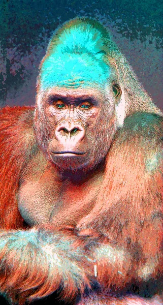 Gorilla Teken Illustratie Pop Art Achtergrond Pictogram Met Kleur Vlekken — Stockfoto