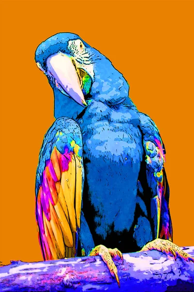 Scarlet Macaw Ara Macao Πινακίδα Εικονογράφηση Pop Art Φόντο Εικονίδιο — Φωτογραφία Αρχείου