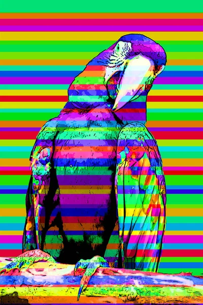 Scarlet Macaw Ara Macao Sign Illustration Pop Art Background Icon — Stock Photo, Image