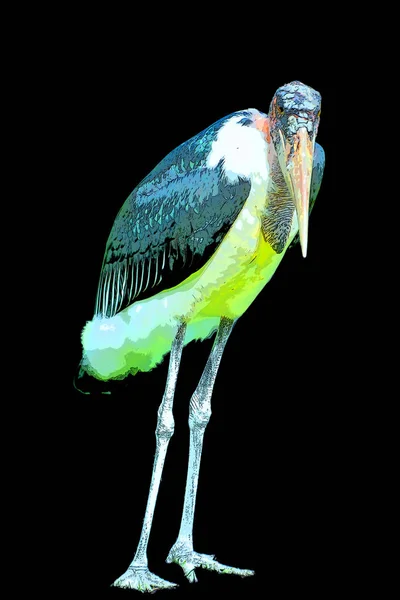 Marabou Stork Leptoptimistic Los Crumeniferus签署了带有色斑的流行艺术背景图标 — 图库照片