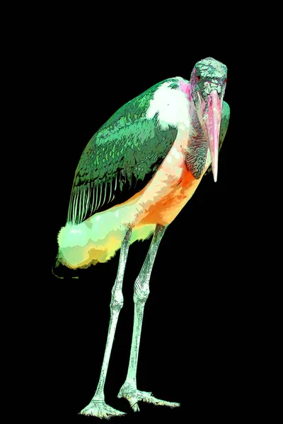 Marabou Stork Leptoptilos Crumeniferus Sign Illustration Pop Art Background Icon — Stockfoto