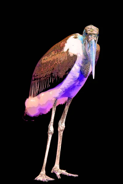 Marabou Stork Leptoptilos Crumeniferus Sinal Ilustração Ícone Fundo Pop Art — Fotografia de Stock